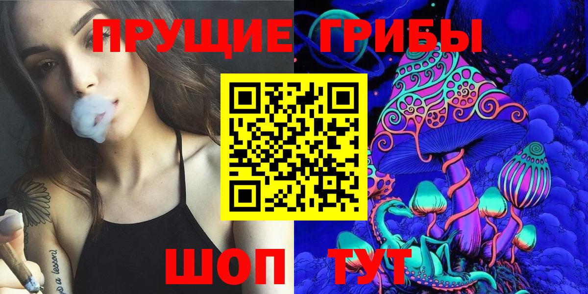 ГАШ Донецк