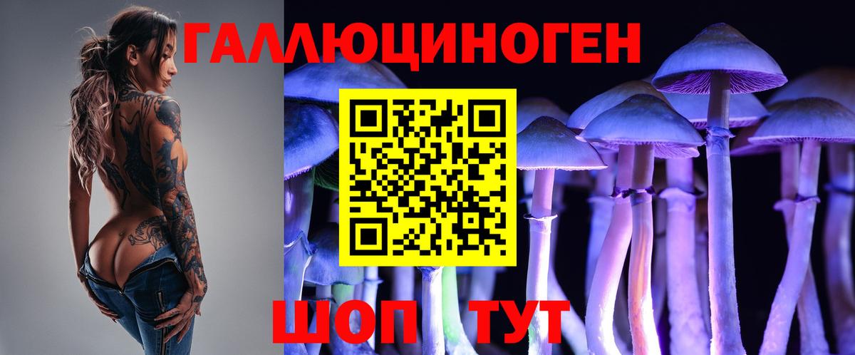 Донецк  хочу   Вход с VPN  Псилоцибиновые грибы мухоморы 